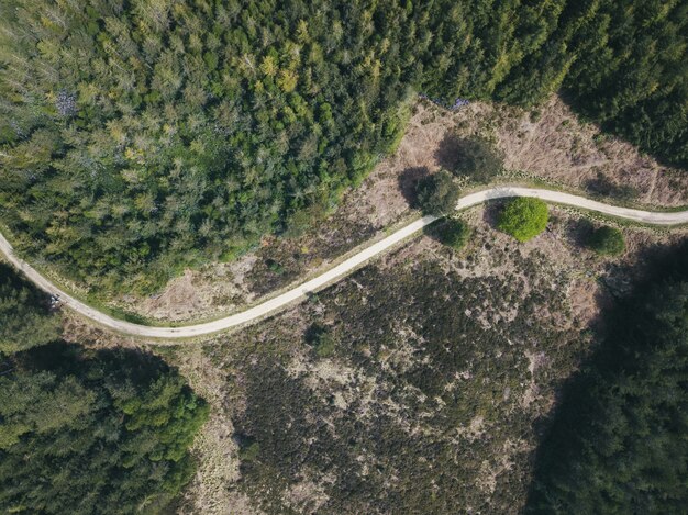 Foto aérea de uma estrada estreita em uma floresta em uma floresta de Puddletown em Dorset, Reino Unido