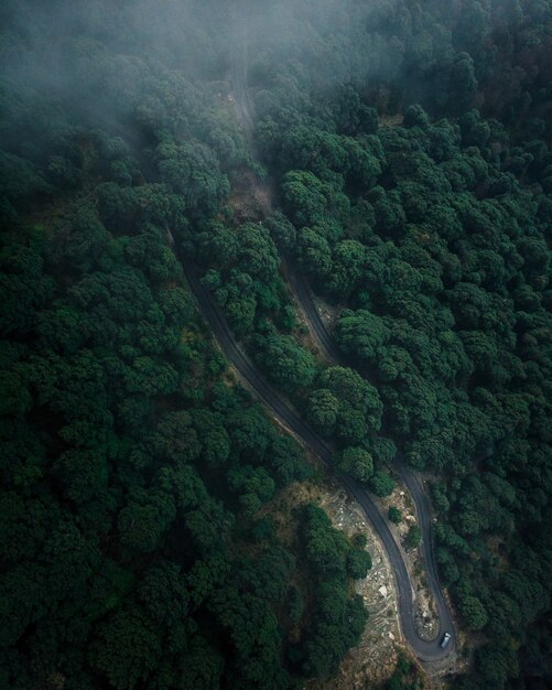 Foto aérea de uma estrada na floresta com árvores verdes altas e densas