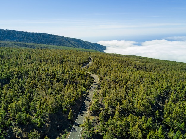 Foto aérea de uma longa estrada pela floresta verde, com uma bela paisagem de nuvens ao fundo