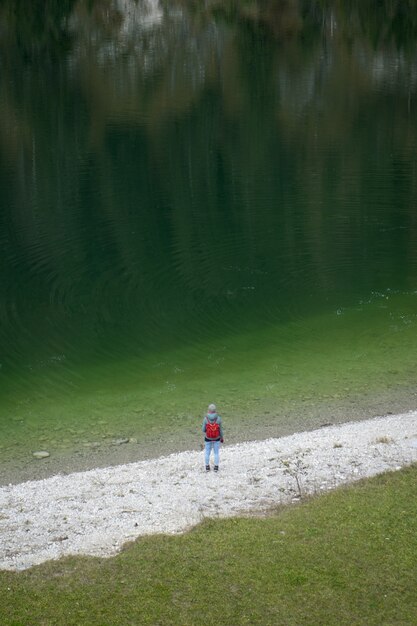 Foto aérea de uma mulher em pé perto do Lago Sylvenstein, na Alemanha