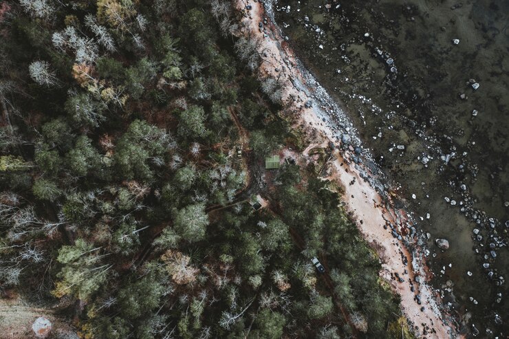 Foto grátis foto aérea de uma paisagem com muitas árvores e carros em uma estrada