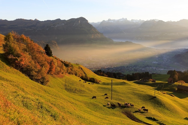 Foto aérea de uma paisagem de montanha com vacas na encosta da montanha