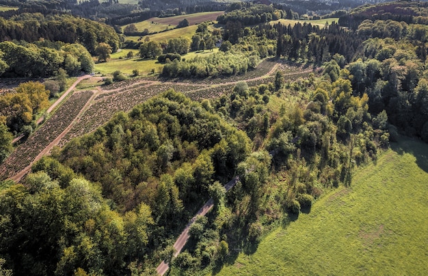 Foto aérea de uma paisagem montanhosa coberta de árvores