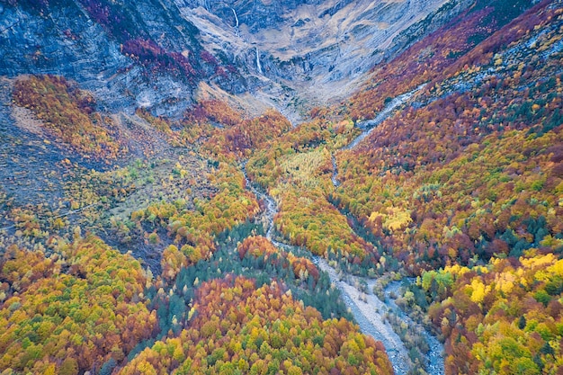Foto aérea deslumbrante de um ambiente florestal no outono