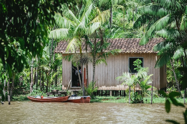 Foto aproximada de barcos em um rio e uma pequena casa na baía cercada por palmeiras na Amazônia