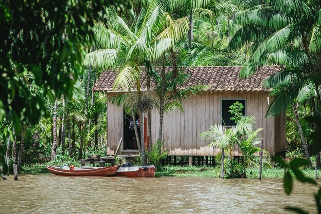 Foto aproximada de barcos em um rio e uma pequena casa na baía cercada por palmeiras na Amazônia