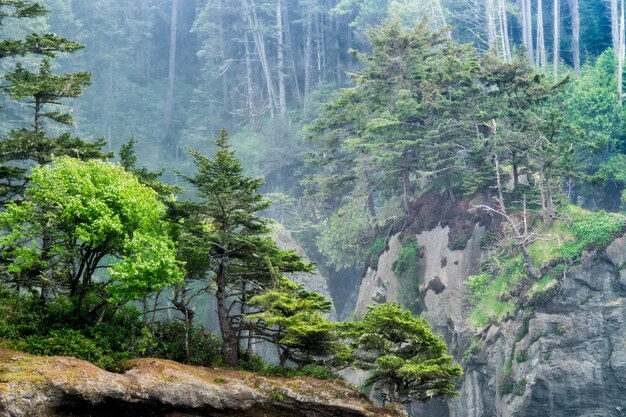 Foto aproximada de Cape Flattery em Washington, EUA