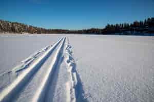 Foto grátis foto aproximada de um caminho no meio na neve profunda na natureza