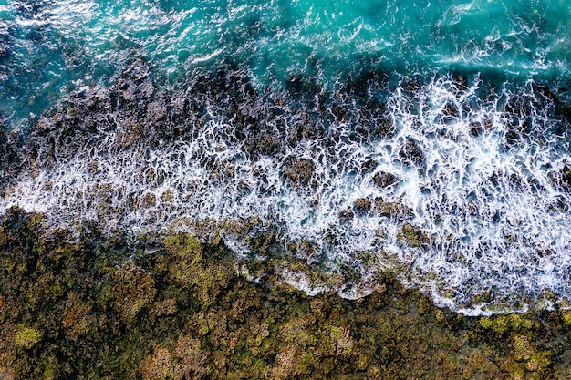 Foto grátis foto aproximada de uma costa com ondas quebrando de um mapa 3d na tela