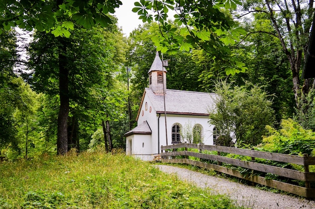 Foto aproximada de uma igrejinha branca na floresta