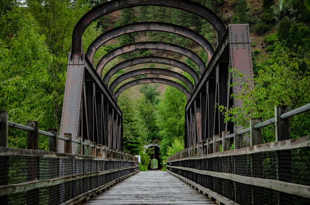 Foto aproximada de uma ponte em um parque