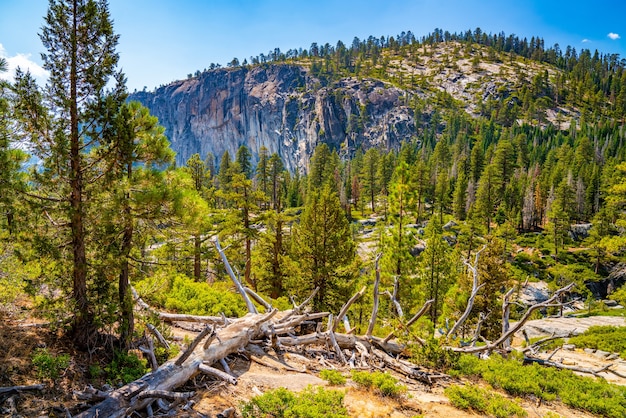 Foto da natureza pitoresca do Parque Nacional de Yosemite