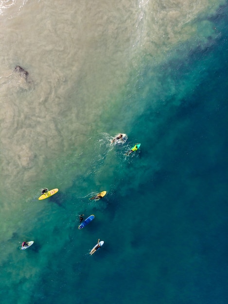 Foto da vista superior de pessoas com pranchas de surfe nadando na praia de Varkala