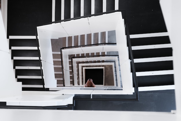 Foto de alto ângulo de escadas em espiral e uma mulher tirando uma foto durante o dia