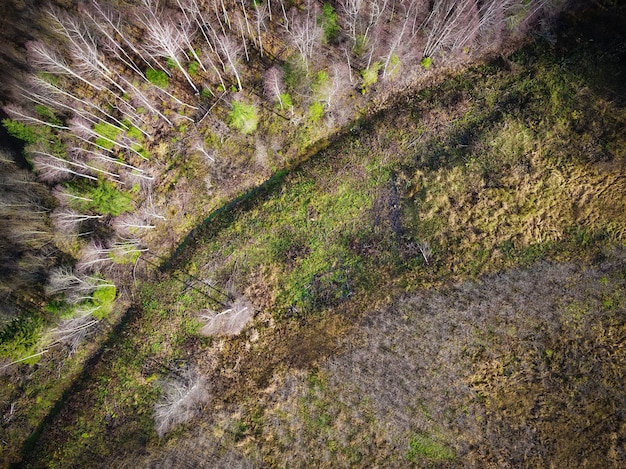 Foto de alto ângulo de um campo parcialmente seco devido a mudanças no clima