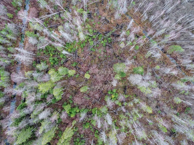 Foto de alto ângulo de um campo parcialmente seco devido a mudanças no clima