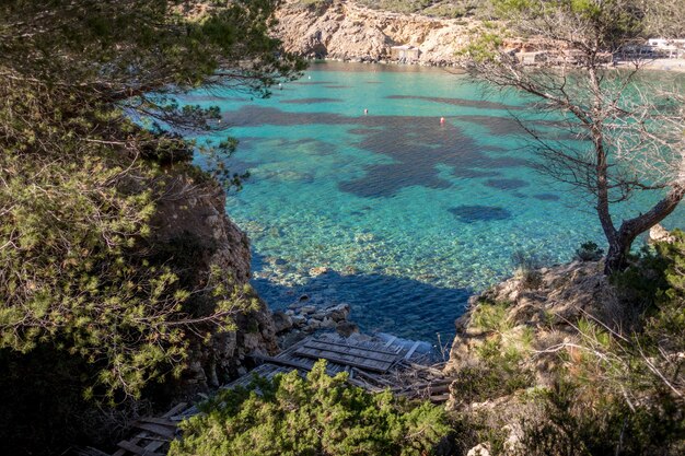 Foto de alto ângulo de um lindo lago nas montanhas cercado por árvores em um dia ensolarado