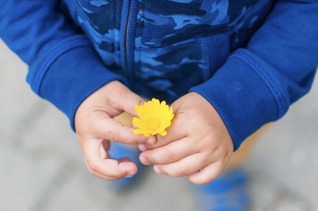 Foto de alto ângulo de uma criança segurando uma flor amarela