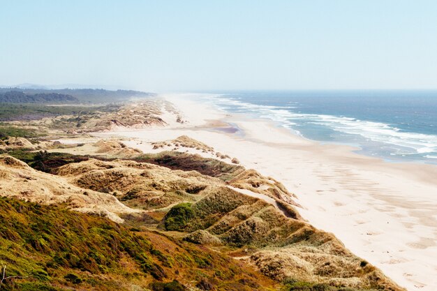Foto de alto ângulo de uma paisagem verde perto da praia com as ondas do mar baterem