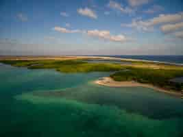 Foto grátis foto de anjo alto de uma bela ilha tropical exótica em bonaire, caribe