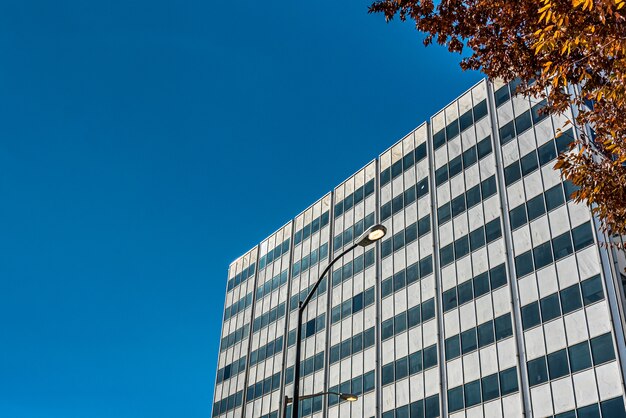 Foto de baixo ângulo de um prédio alto de vidro perto de árvores sob um céu azul nublado