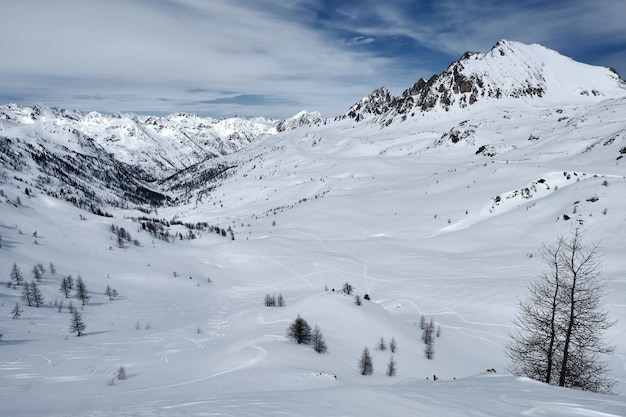 Foto de baixo ângulo de uma montanha arborizada coberta de neve e caminhos sob um céu azul