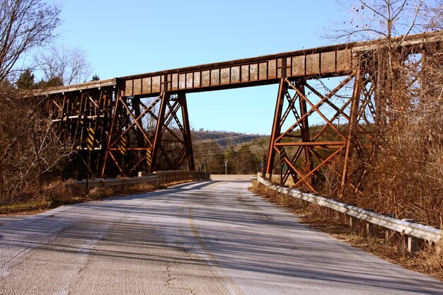 Foto de baixo ângulo de uma ponte ferroviária enferrujada cercada por árvores sem folhas