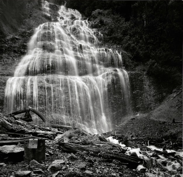 Foto de baixo ângulo em escala de cinza das quedas de Bridal Veil no Parque Provincial em Bridal, Canadá