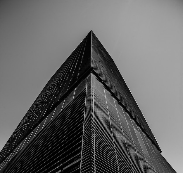 Foto de baixo ângulo em tons de cinza de um prédio comercial