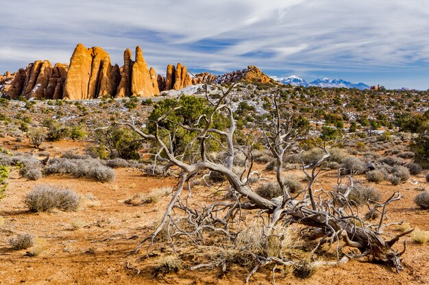 Foto de bela paisagem do Parque Nacional Arches, em Utah, EUA