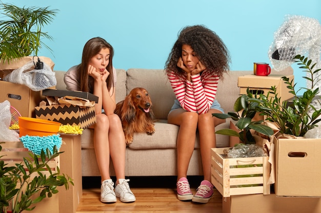 Foto de duas mulheres mestiças sentadas em um sofá confortável olhando para um cachorro com pedigree, mudando-se para um novo apartamento para morar, embalando coisas, muitos pacotes ao redor, parede azul no fundo, comprando uma nova casa