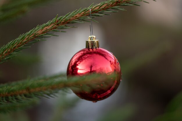 Foto de foco seletivo de um enfeite de Natal vermelho pendurado em um pinheiro