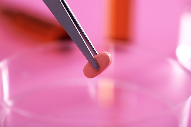 Foto de foco seletivo de uma pinça cinza segurando uma pequena pílula em um laboratório