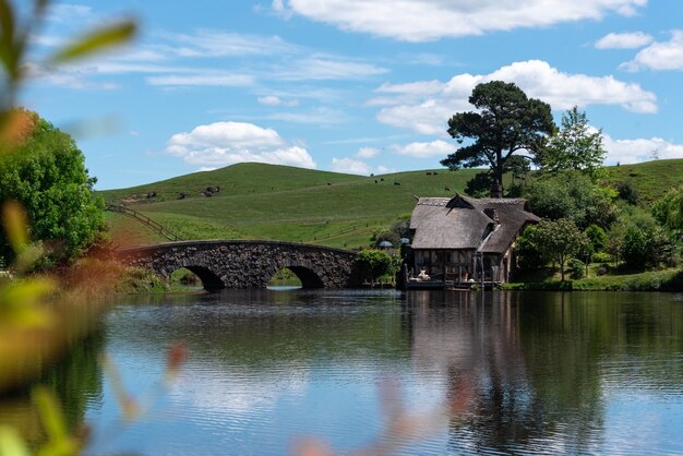 Foto de foco seletivo de uma ponte sobre a água com uma casa à distância