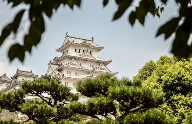 Foto de foco seletivo do castelo branco de Himeji, Himeji, Japão