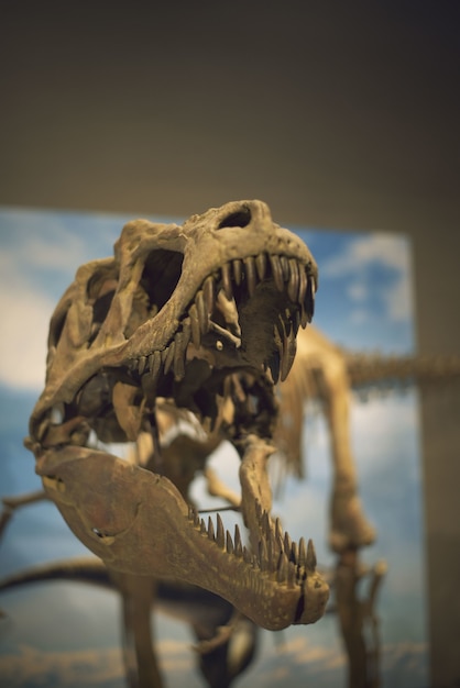 Foto de foco seletivo vertical de um esqueleto de dinossauro capturado em um museu