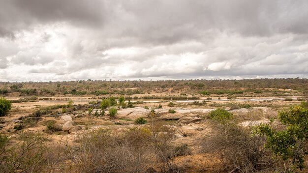 Foto de grande angular de um campo com arbustos e plantas sob um céu nublado