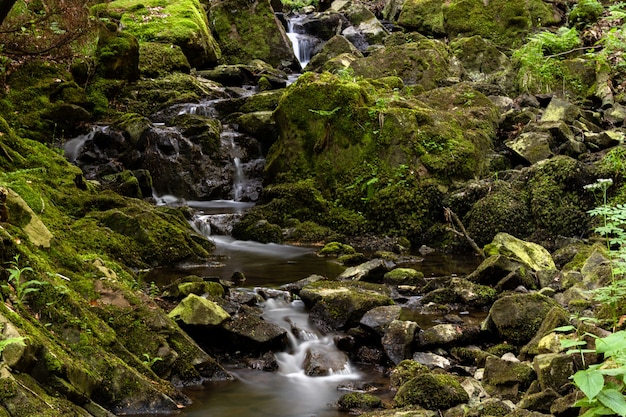 Foto de grande angular de uma cachoeira na floresta cercada por grama e pedras