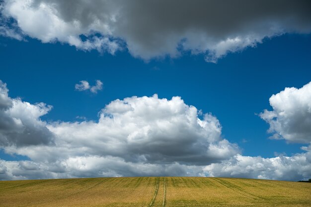 Foto de grande angular do campo sob o céu cheio de nuvens