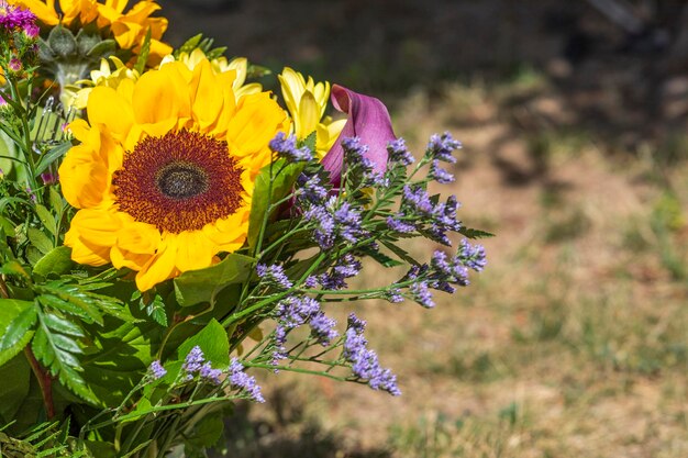 Foto de lindas flores coloridas Foto de alta qualidade