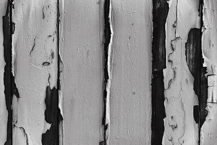 Foto grátis foto de padrão de textura de madeira