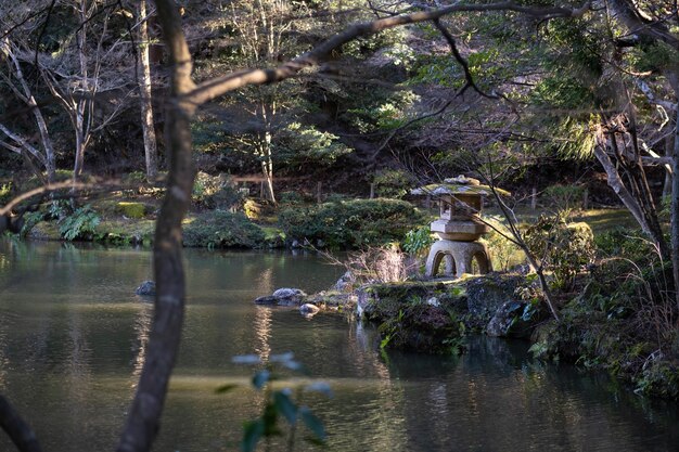 Foto de paisagem à beira de um lago cercada por árvores