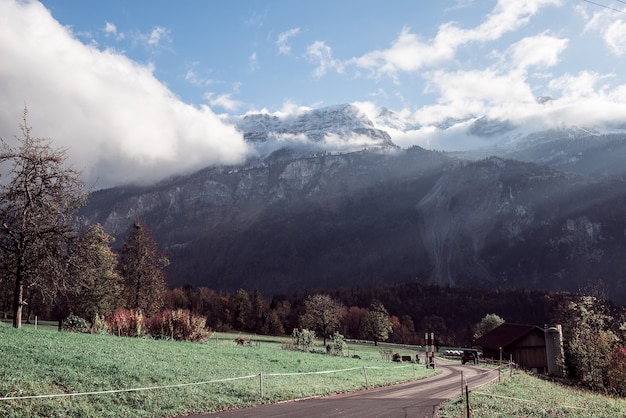 Foto de paisagem de campos cheios de árvores com montanhas na Suíça