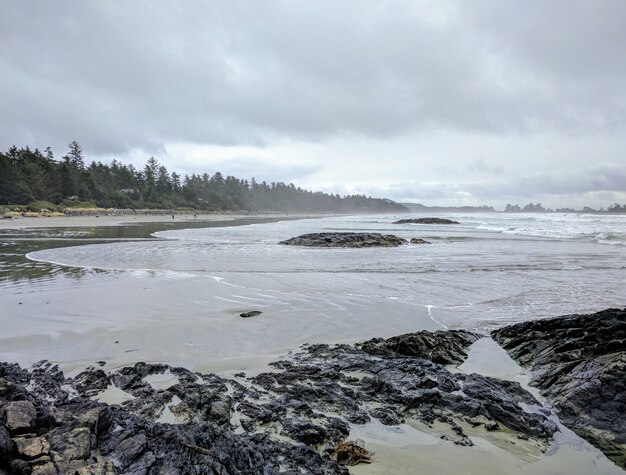Foto de paisagem de uma praia rochosa durante o tempo nublado com árvores