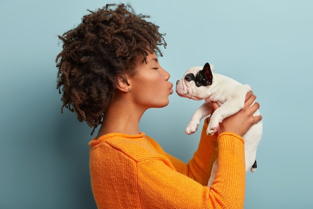 Foto de perfil de mulher de pele escura satisfeita beija um pequeno buldogue francês, expressa amor ao animal de estimação favorito, usa um macacão laranja casual, posa contra a parede azul. Cachorrinho nas mãos do dono