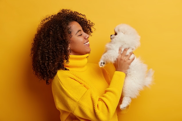 Foto de perfil de mulher morena encaracolada posa com spitz branco, tem humor brincalhão, cachorro fofo pequeno de animais de estimação, relaxe em casa, sendo melhores amigas, satisfeita após caminhada ao ar livre.