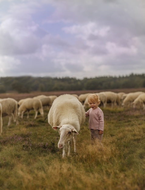 Foto grátis foto de sonho de uma adorável criança caucasiana acariciando uma ovelha em uma fazenda