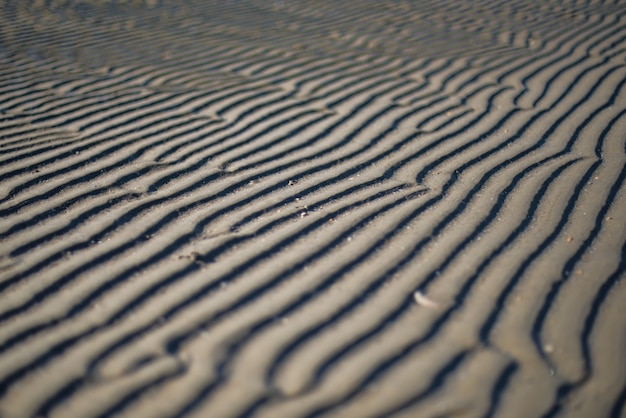 Foto de tirar o fôlego da areia costeira com belos padrões feitos pelo vento