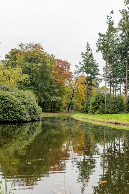 Foto de um parque com um lago, diferentes tipos de árvores e um céu claro