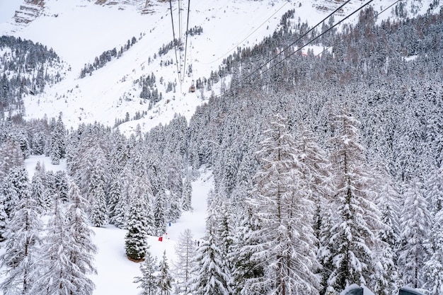 Foto de um teleférico sobre uma floresta coberta de neve em uma montanha